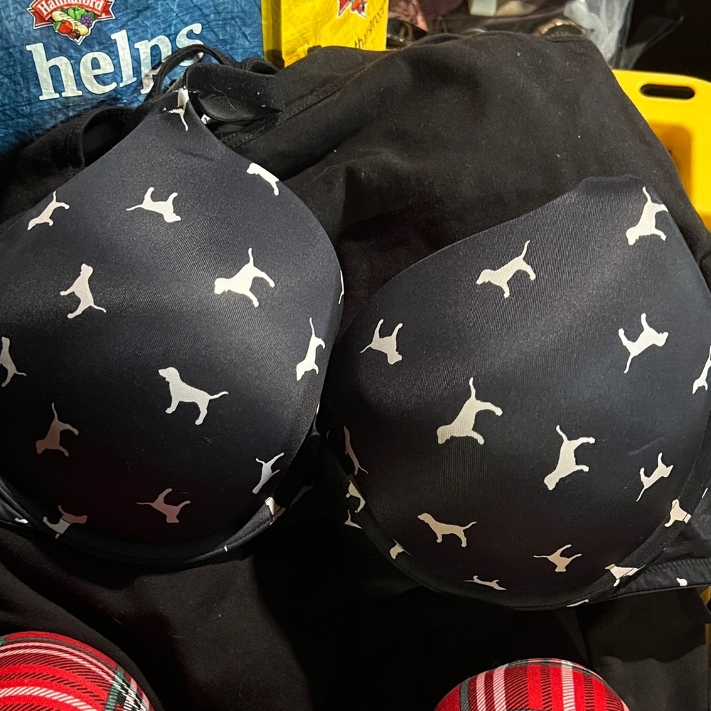 Victoria’s Secret Pink.                Bra with White Dog Print